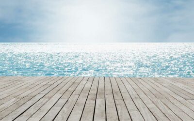 How We Each Have the Power to Seek Out the Positive