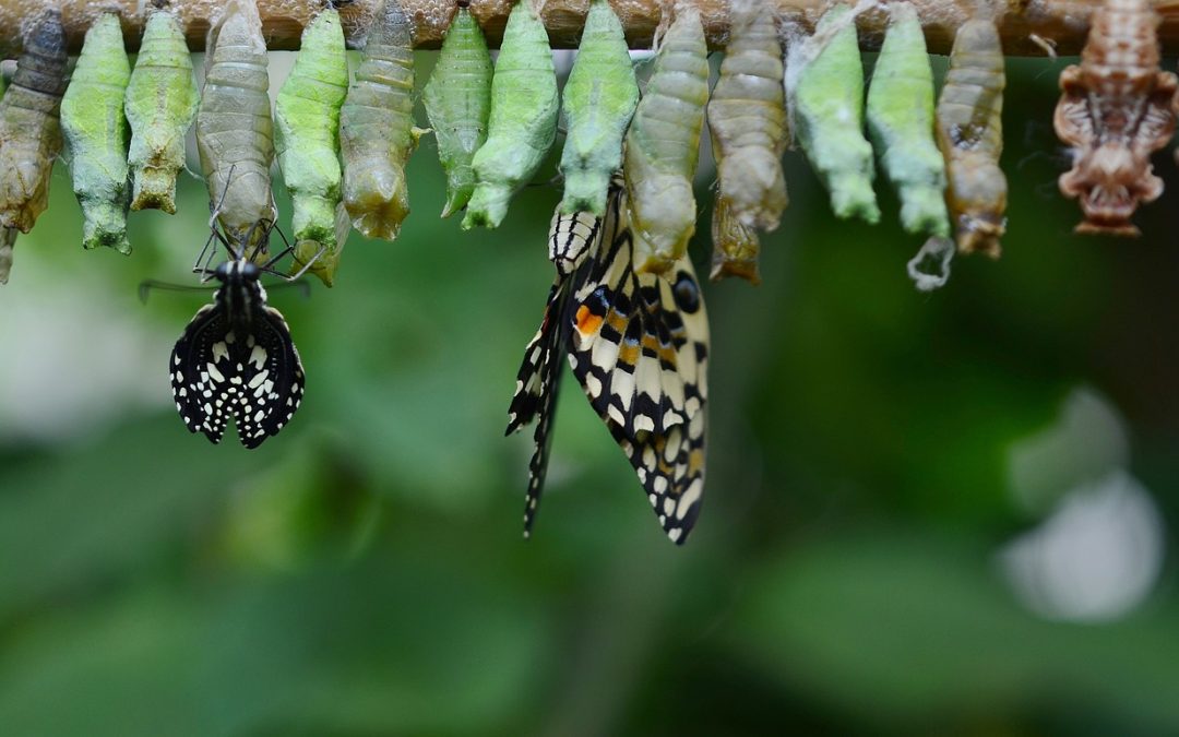 Embracing Change and Letting Go of the Past