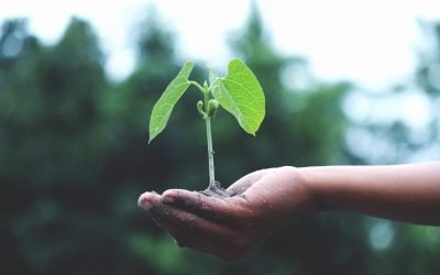 Does Therapy Help with Anxiety