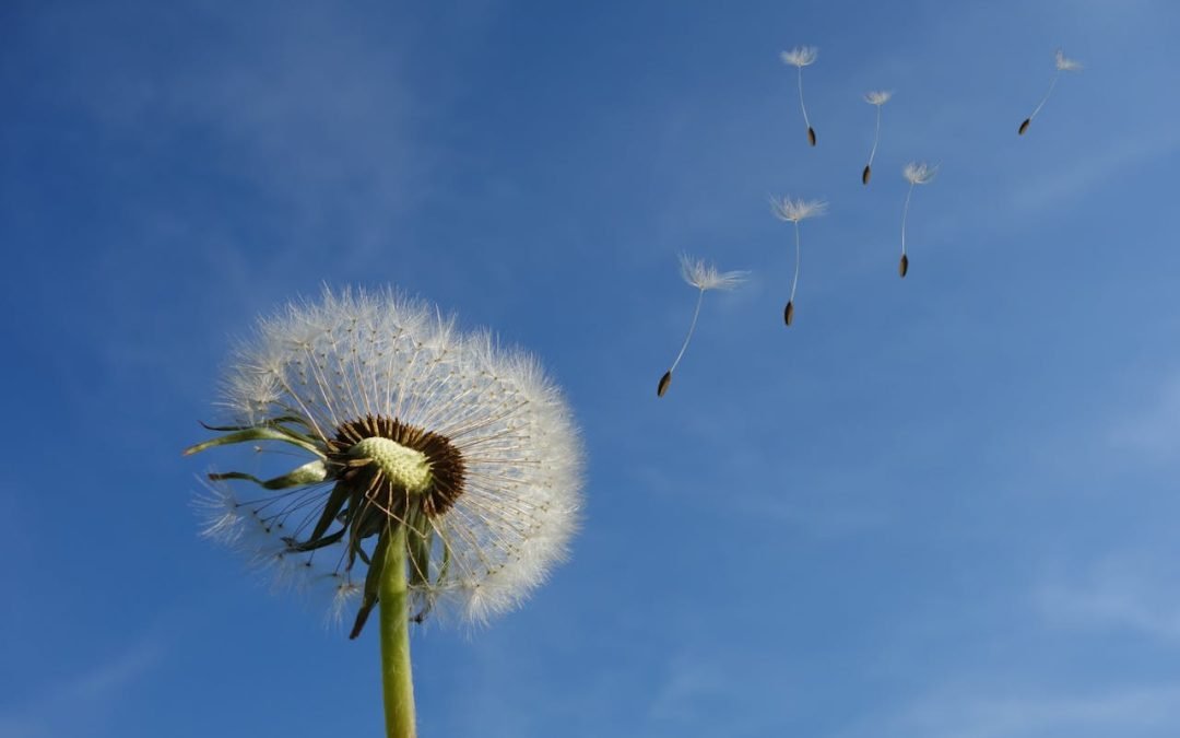 Does Therapy Help With Depression?