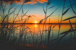 Peaceful sunset representing reflection, emotional awareness, and change through CBT therapy
