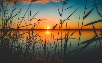 How Does Cognitive Behavioral Therapy Work?